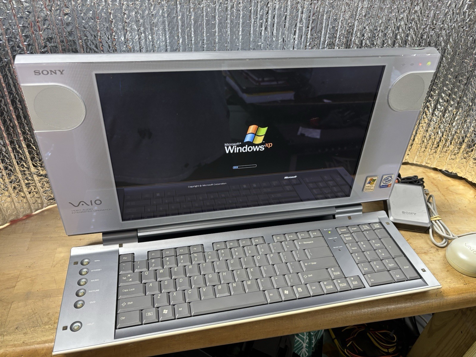 Sony Vaio AIO PCV-W20 15.3” Display Pentium 4 Fold Out Keyboard USB Mouse