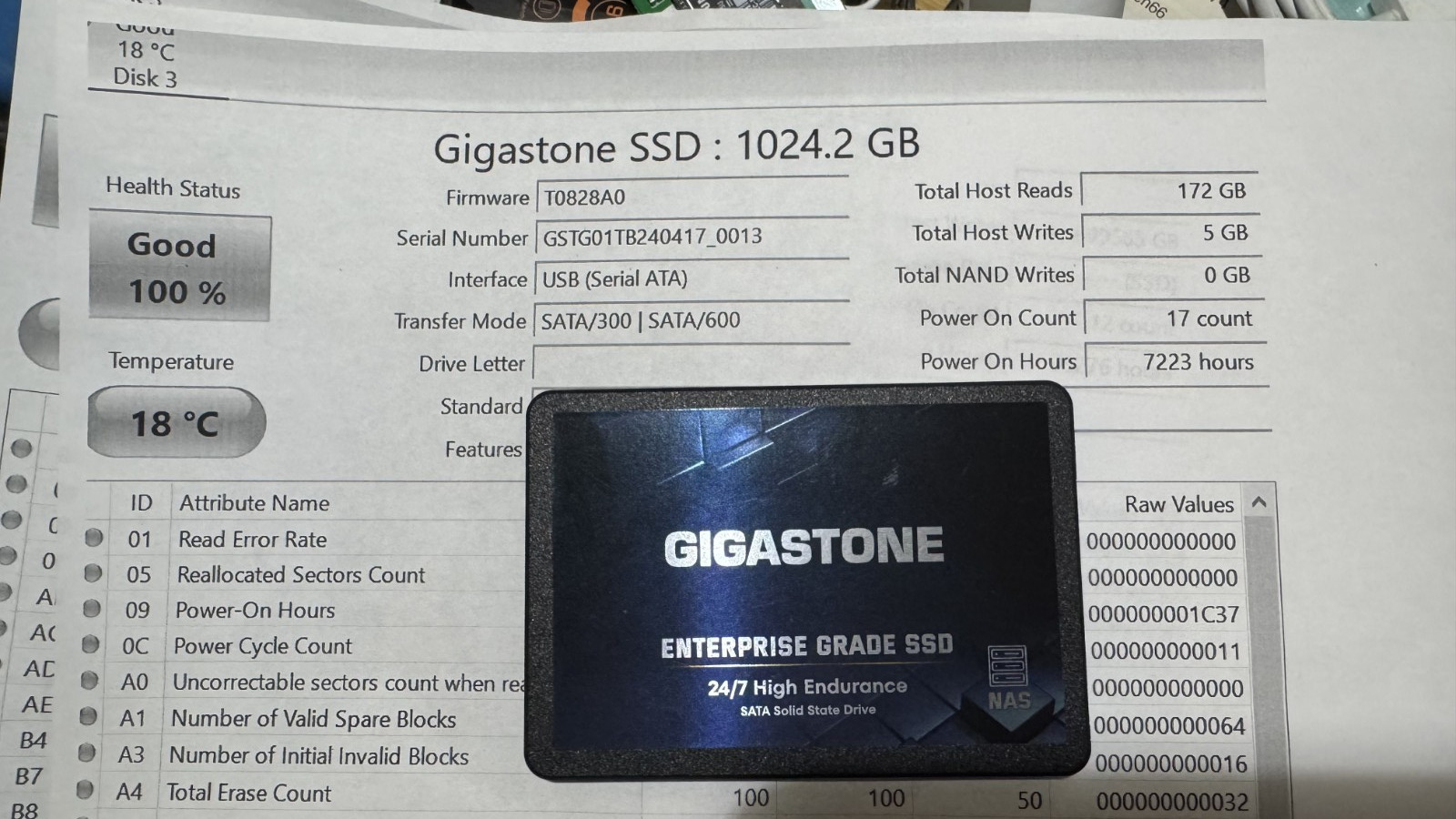 Gigastone Enterprise SSD 1TB NAS SSD Drive 24/7 High Endurance