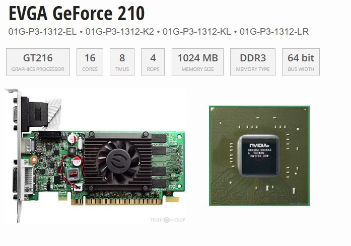 EVGA NVIDIA GeForce 210 1GB DDR3 Graphics Card✅DVI HDMI VGA✅01G-P3-1312-LR