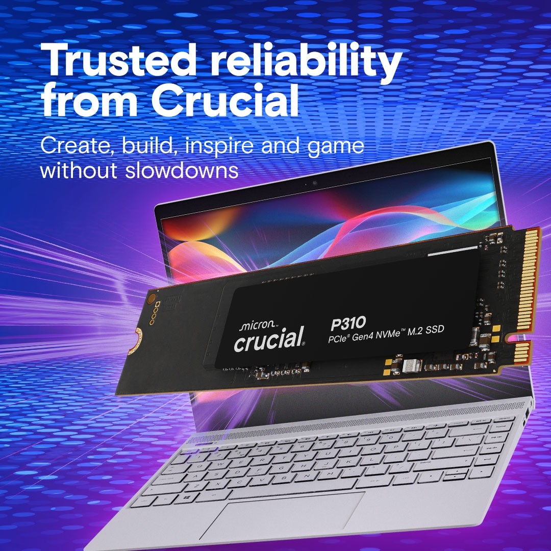 CRUCIAL P310 PCIe Gen4 NVMe 2280 M.2 SSD Internal Solid State Drive 1TB