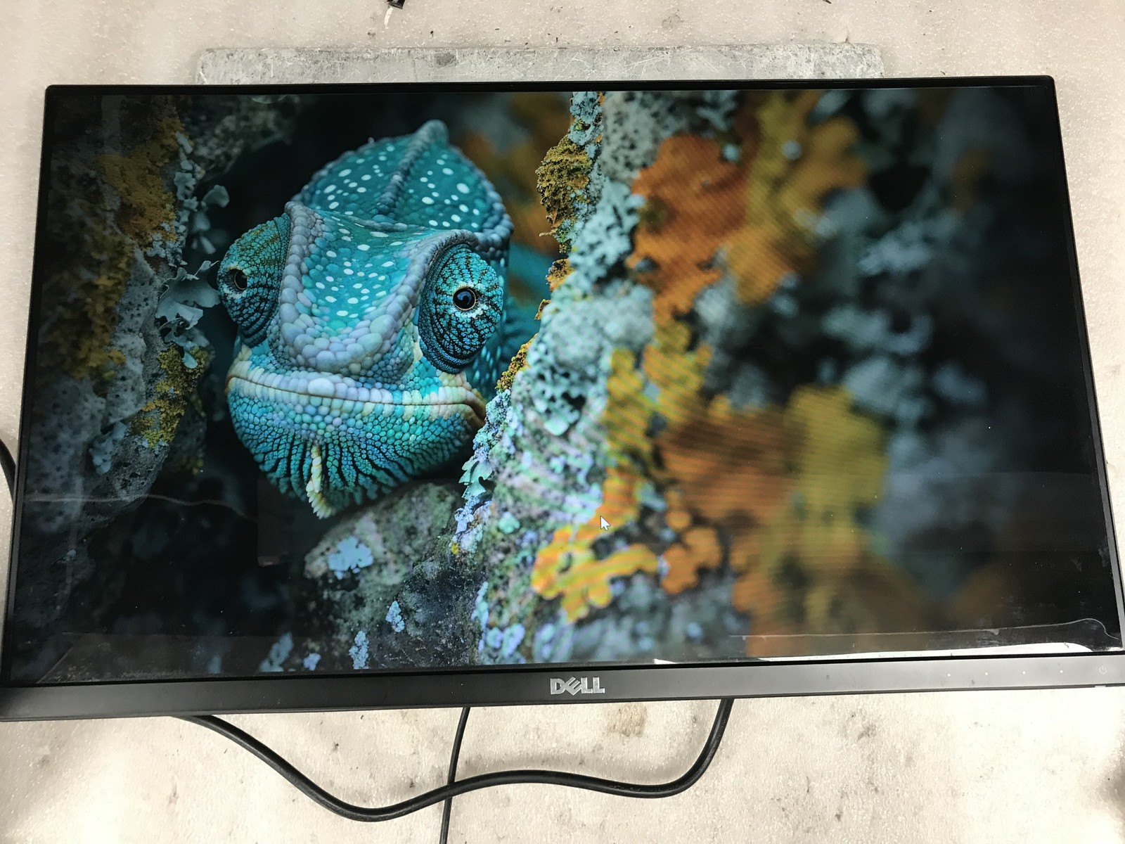 Dell Ultrasharp U2415b 24" LCD IPS 1920x1200 Monitor NO Stand - Tested