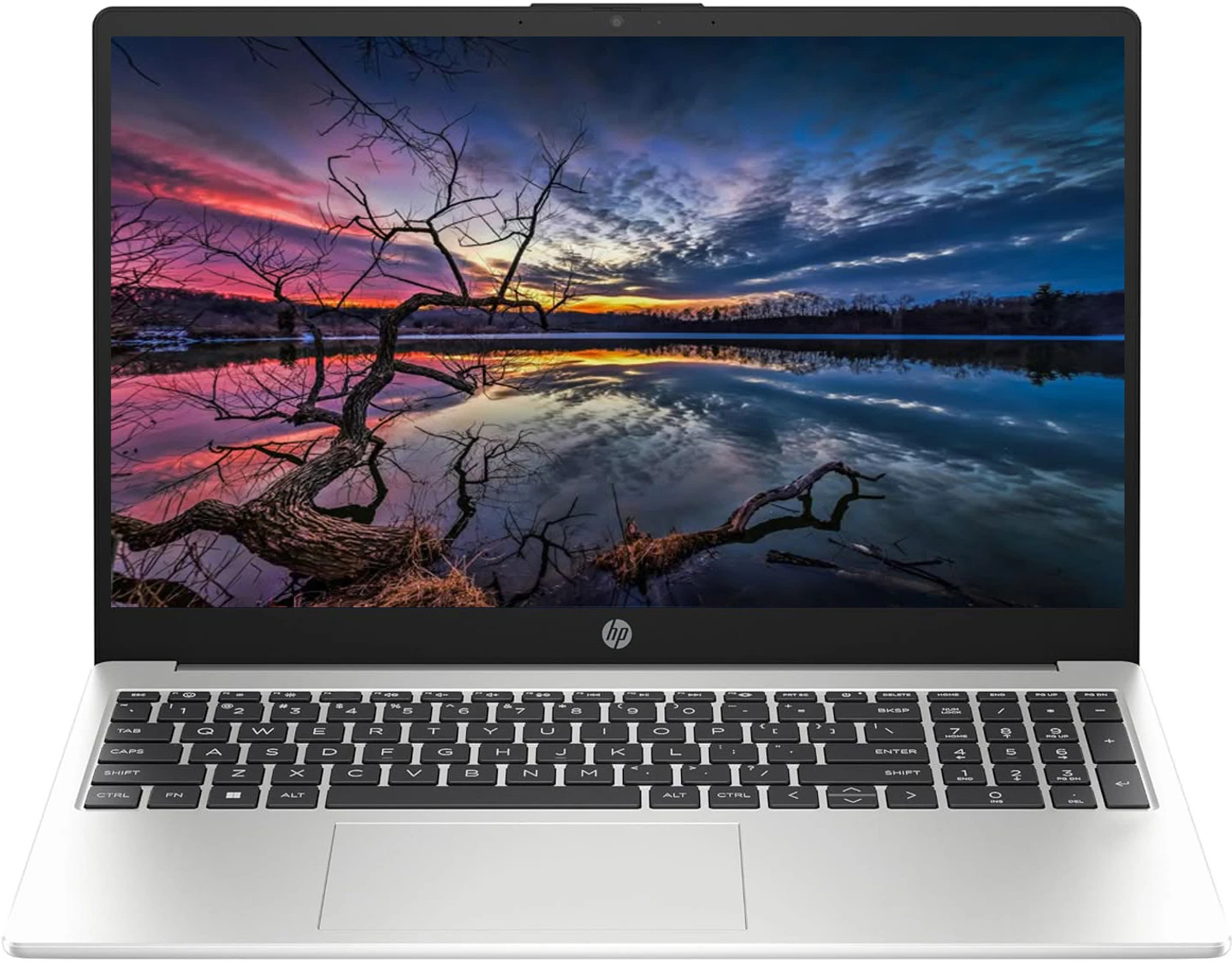 HP 250R G10 i3 14th Gen 100U 8GB 512GB 15.6" FHD Win11 MSO Silver Laptop