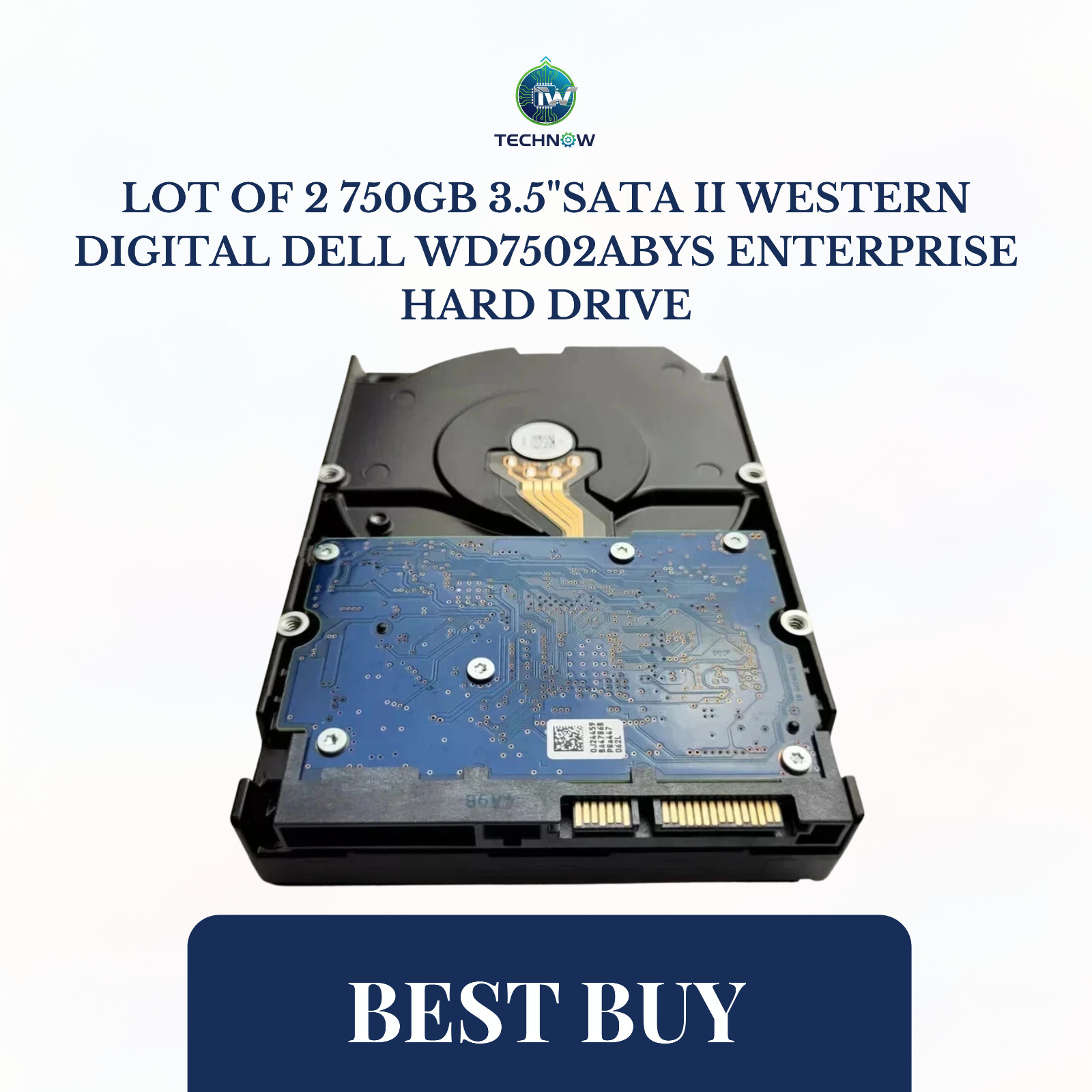 Lot of 2 750GB 3.5"SATA II Western Digital Dell WD7502ABYS Enterprise Hard Drive