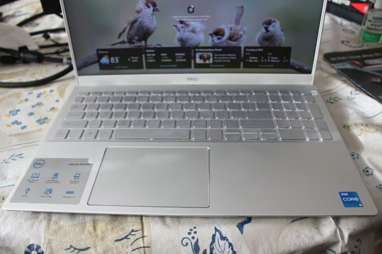 Dell Inspiron 5502 15.6 2021 Silver FHD i5-1135G7 2.40GHz 12GB 512GB SSD EXC