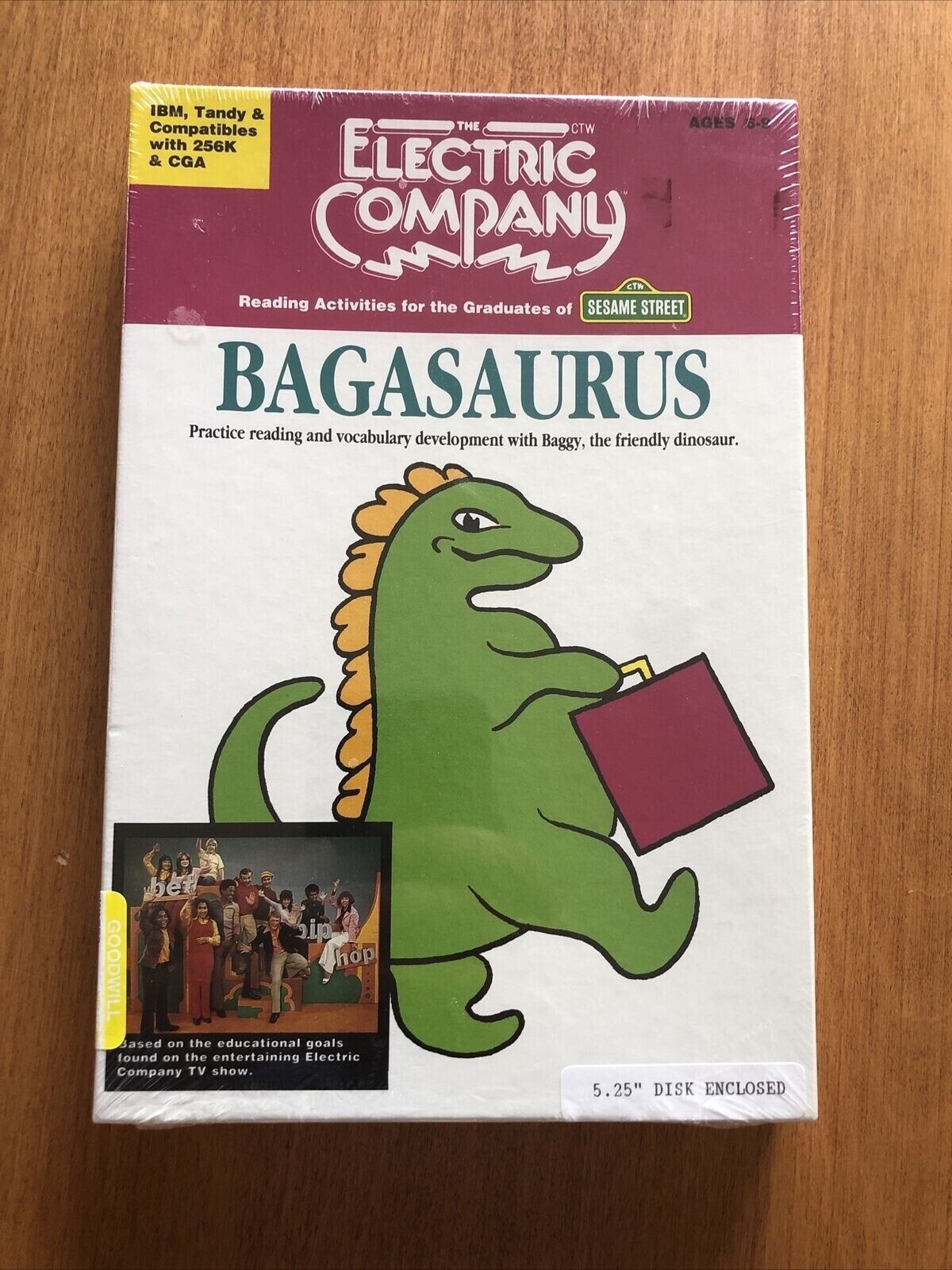 Bagasaurus IBM Tandy 5.25 Media Electric Company 256k & CGA Sealed Vintage Rare