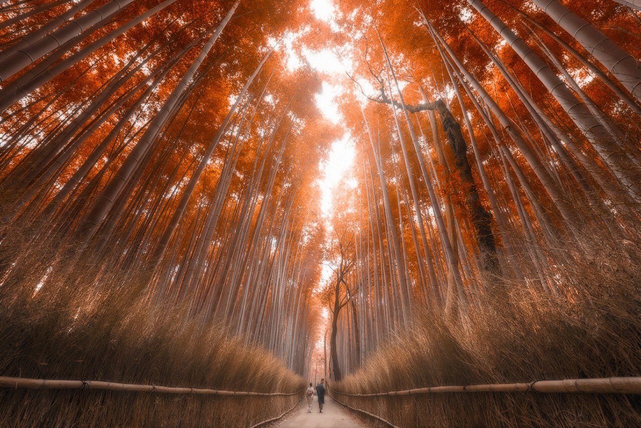 Landscape bamboo forest fall japan trees path sunlight Custom Gaming Mat Desk