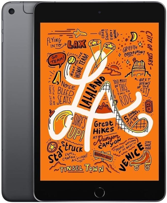 APPLE IPAD MINI 5TH GEN , Unlocked MUXM2LL/A | 7.9" Grey ,256GB,IOS 26.6.1, Grey
