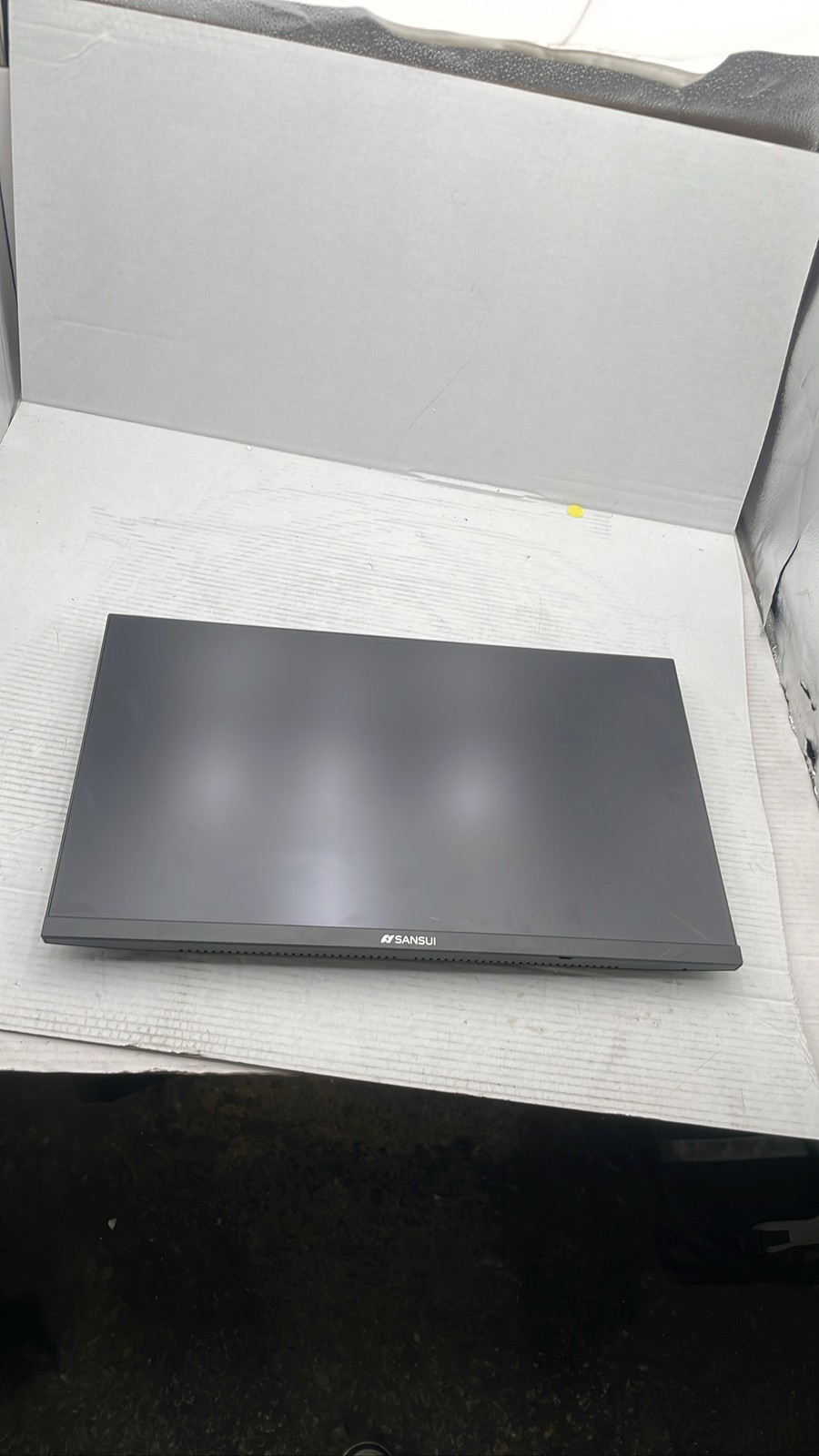 Sansui 2023 ES-24X5A 24" FHD 1080p LED Monitor HDMI VGA Black No Stand