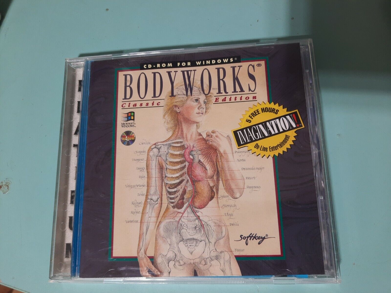Softkey Body Works Human Anatomy CD ROM Classic Edition Platinum 