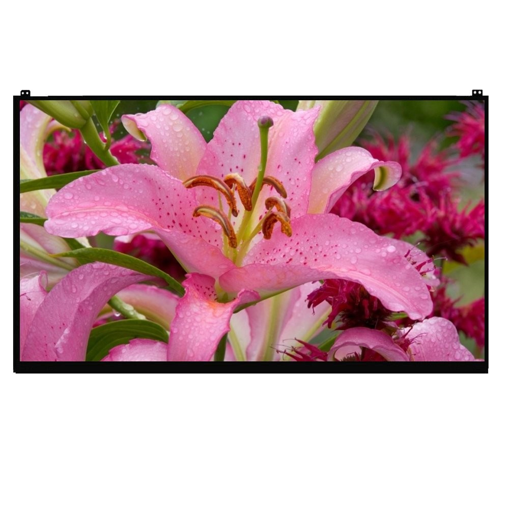 NEW 16" QHD 2560 X 1600 60Hz LCD Screen Display For LG Gram 16 16Z90P 16T90P