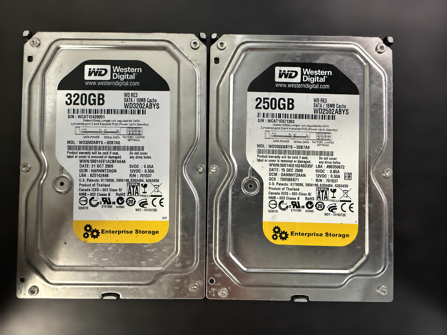 WD RE3 250GB + 320GB SATA 3.5" HDD Lot of 2 – Working & Wiped – SMART OK