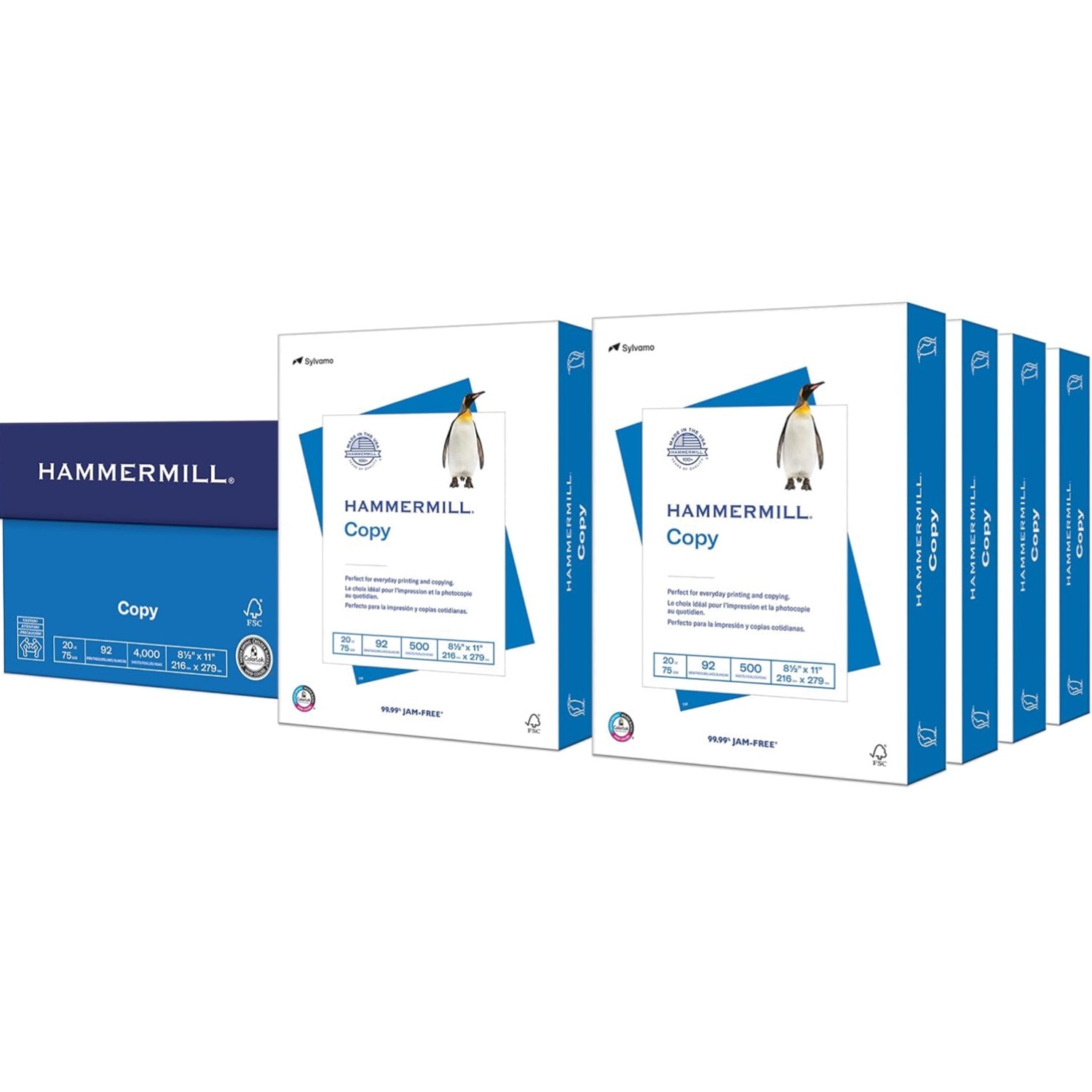 Bulk 20 lb Printer Paper, 8.5 x 11 - 4000 Sheets with ColorLok Technology