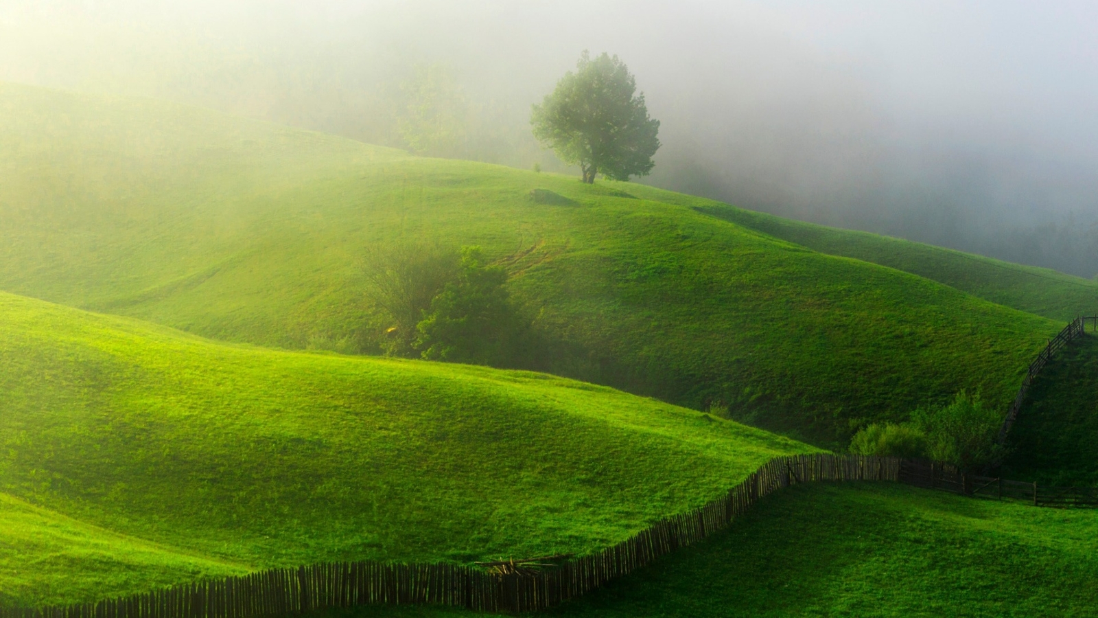 Landscape nature hills mist trees field grass fence Custom Gaming Mat Desk