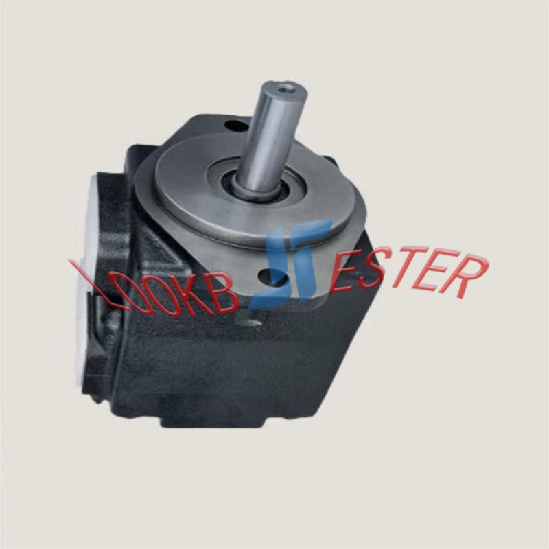 1PC DENISON Hydraulic Vane Pump T6C-003-1R00-A1 T6C 003 1R00 A1 NEW FedEx or DHL