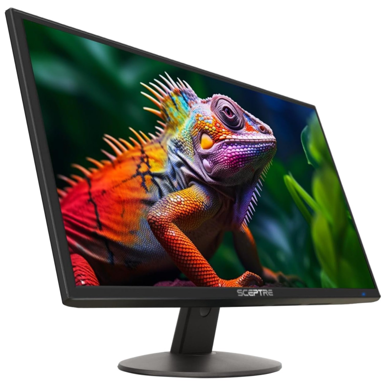 Sceptre E248W-19203R 24" Thin LED Machine Black 99% sRGB