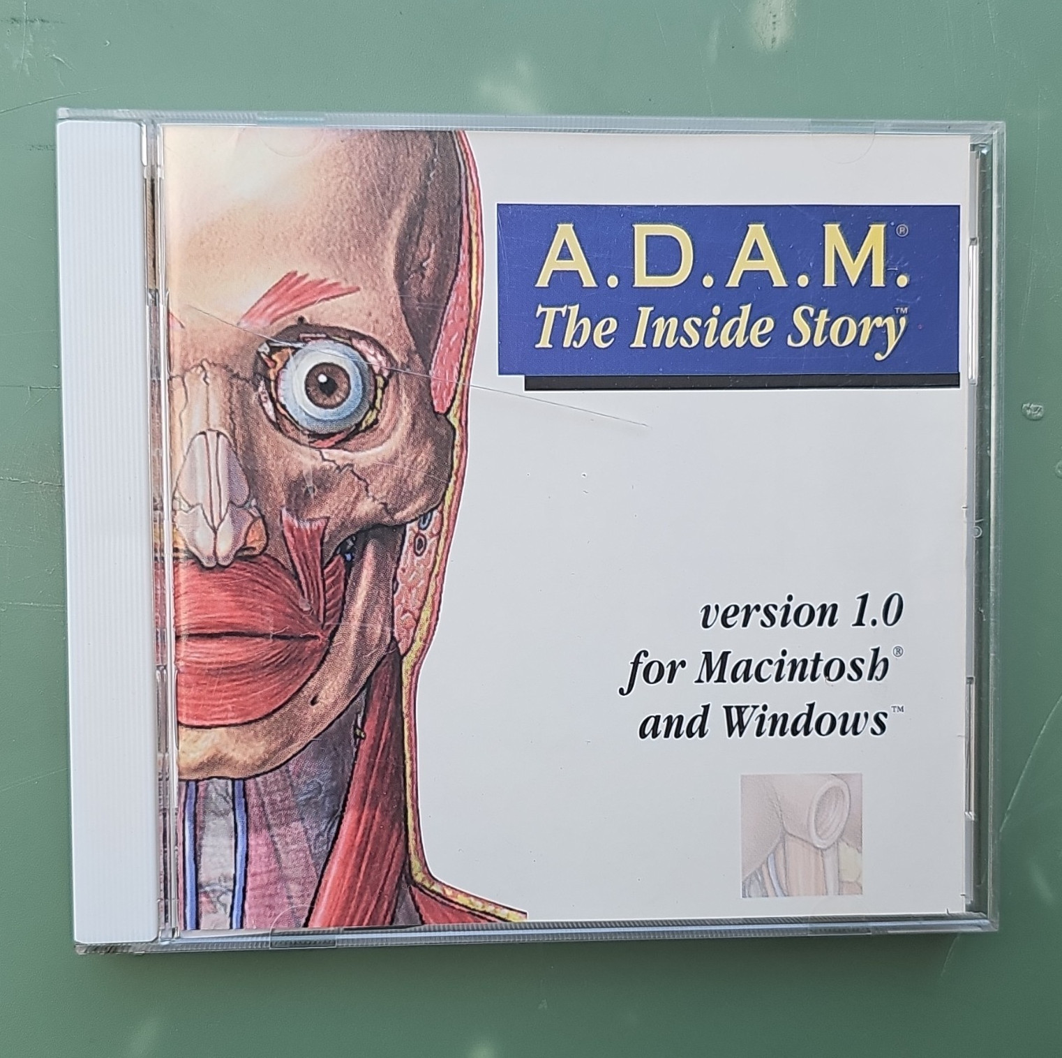 A.D.A.M. The Inside Story CD- Rom