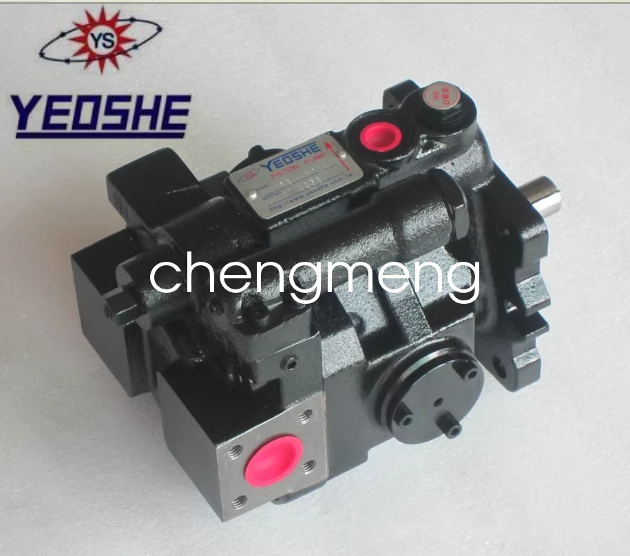 1pcs NEW YEOSHE hydraulic oil pump V23A2 R10X