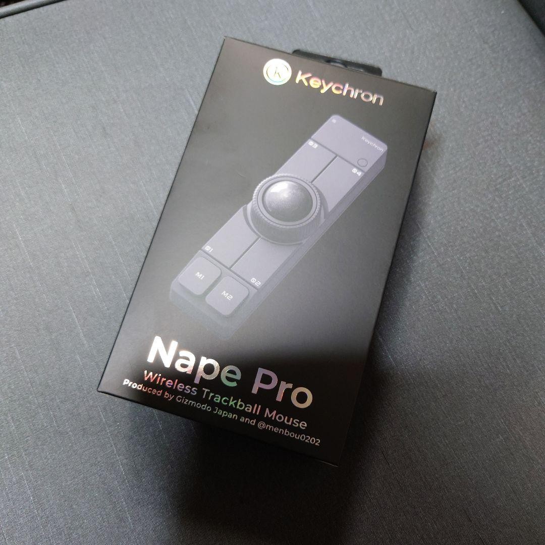 Keychron Nape Pro NP-2 Wireless Trackball Mouse Black Bluetooth JP