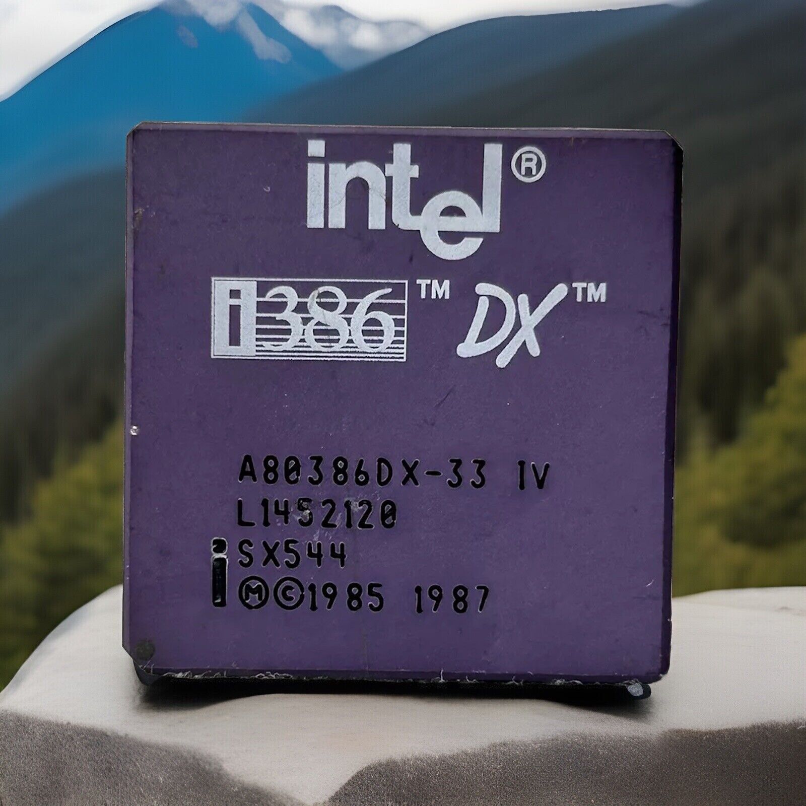 VINTAGE Intel i386 DX A80386DX-33 IV L1452120 SX544 Processor Collection/GOLD