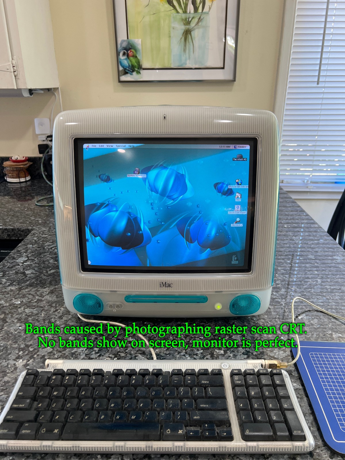 Apple iMac G3 Blueberry M5521 350MHz w/Original Box, Keyboard & Mouse. 64MB 6GB