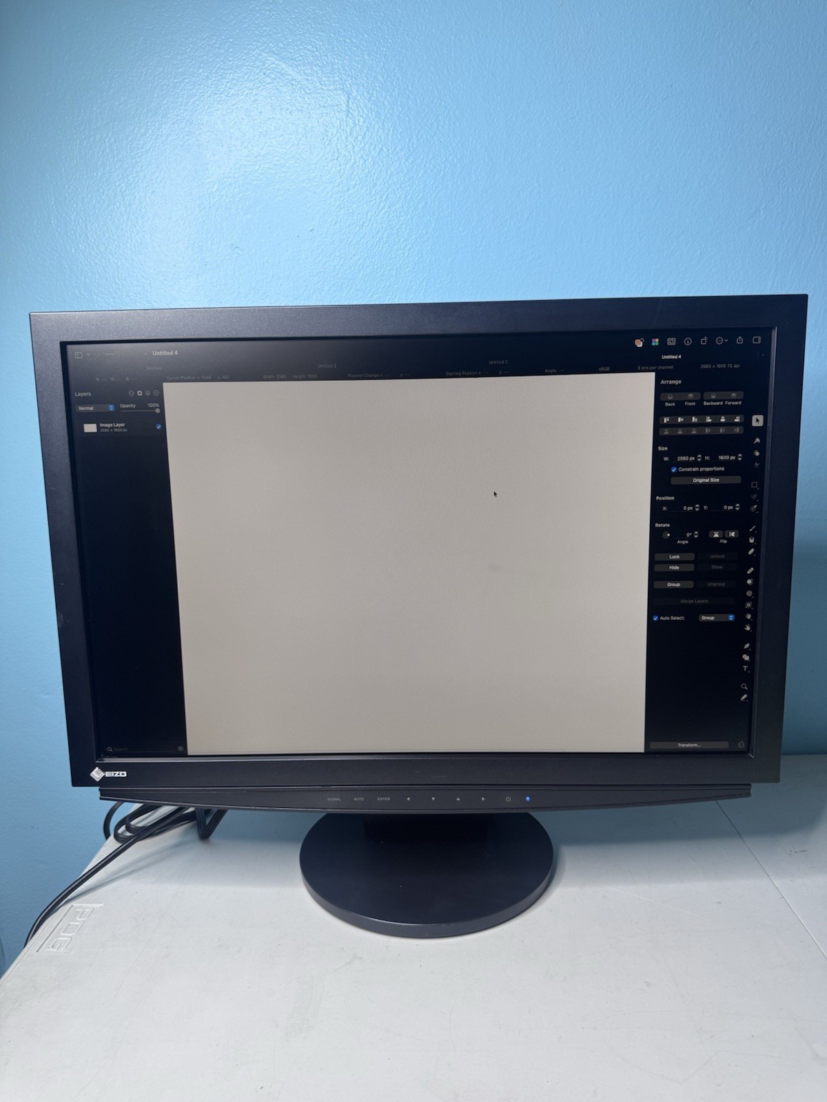 Eizo Flexscan S2411w WUXGA 24” Monitor 1900x1200