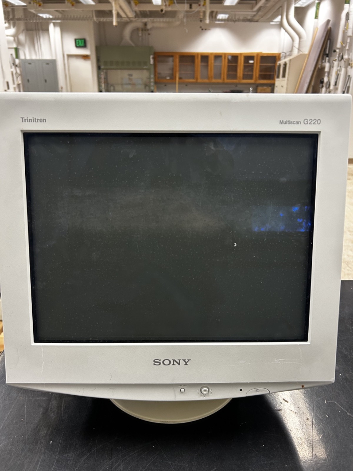 Integrated Audio 17 Inch Sony Multiscan G220S CRT Monitor. Tested and Working.