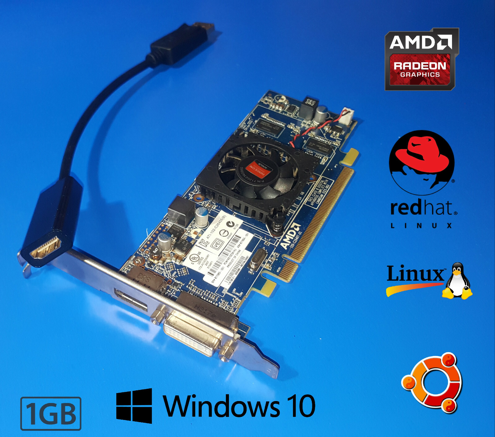 HP xw4200 xw4300 xw4400 xw4550 xw4600 xw6200 1GB Video Graphics Card +HDMI Cable