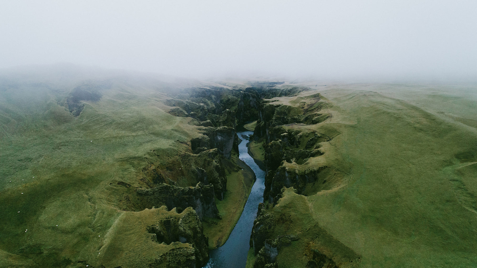Landscape nature iceland green grass birds mist high Custom Gaming Mat Desk