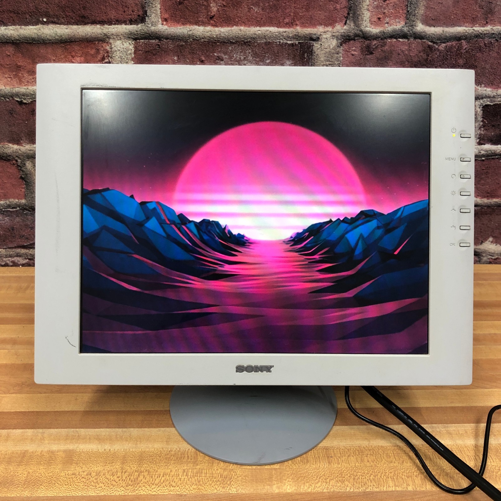 2002 Sony SDM-S51 15" 4:3 LCD VGA Computer Monitor 1024 × 768 for Retro Gaming
