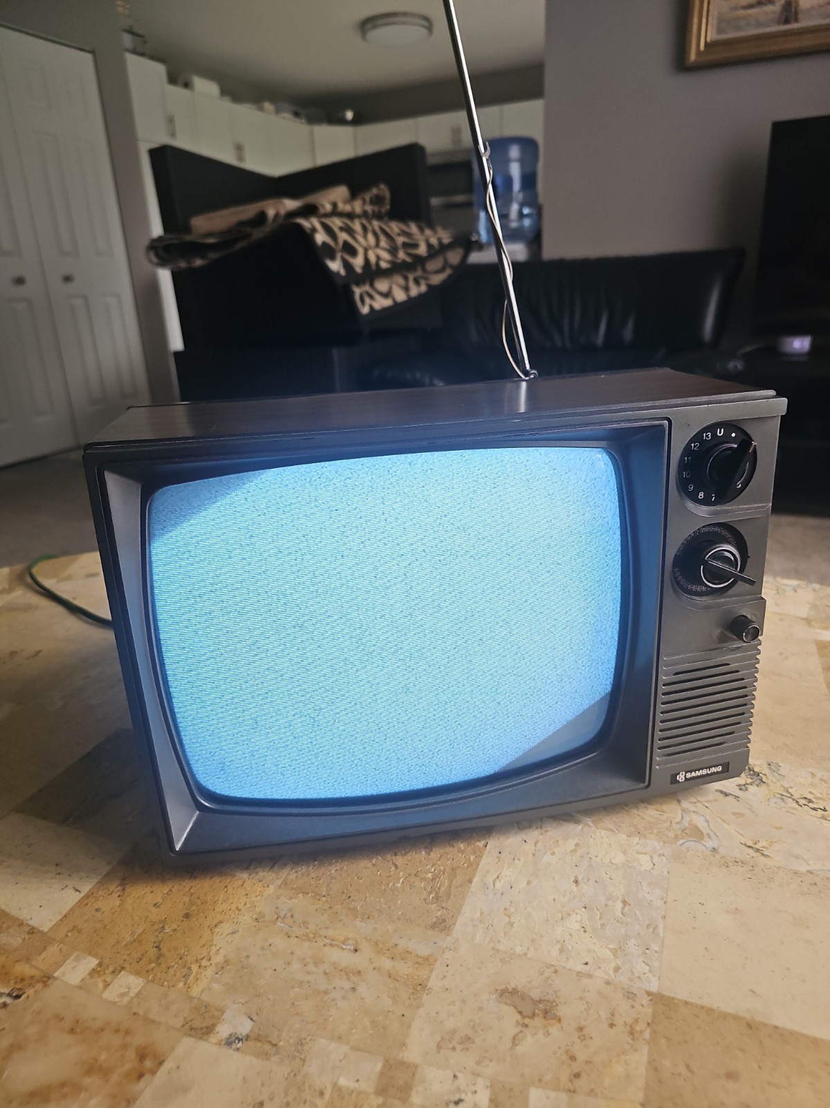VTG Samsung TB1290 RETRO GAMING BLACK S WHITE 12V Car Truck Or 114V Works 👍