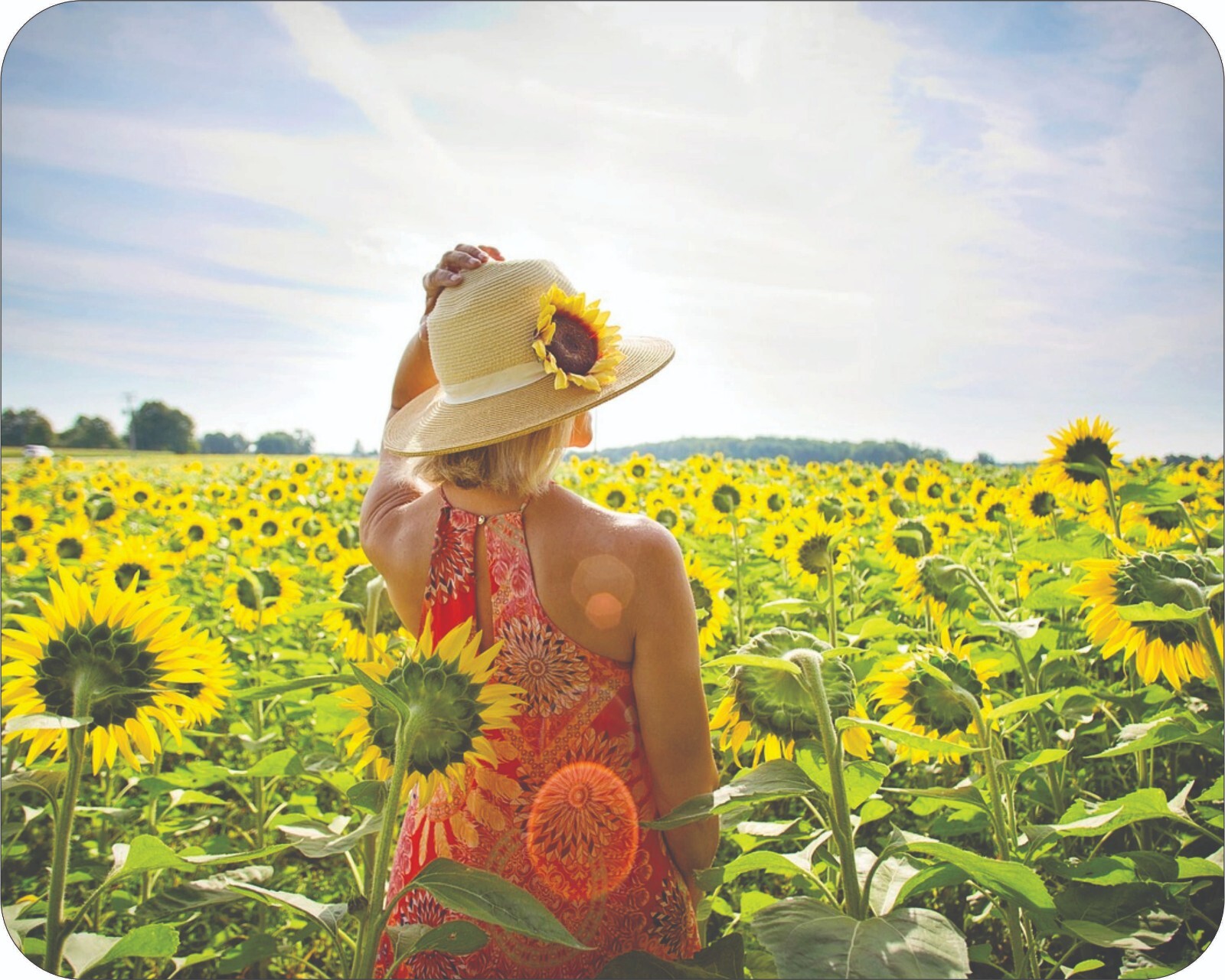 Flowers Floral Art Photo Sunflower Mouse Pad Stunning Photos AI Drawing Mousepad