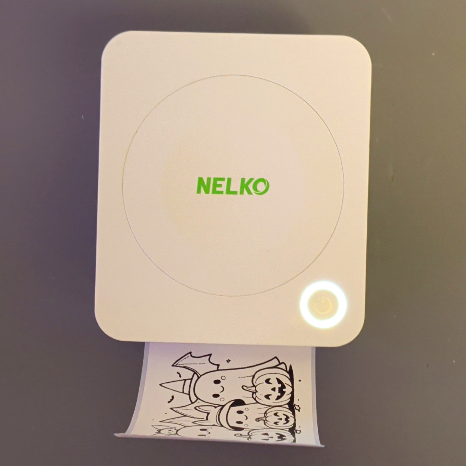 NELKO PM230 Portable Thermal Mobile Printer, USB-C, B&W, 203x203 DPI
