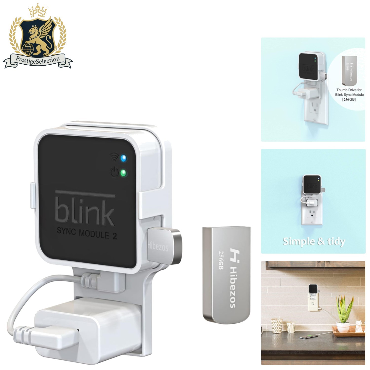 Elegant 256GB USB Flash Drive & Wall Mount for Blink Sync Module 2, Space-Saving