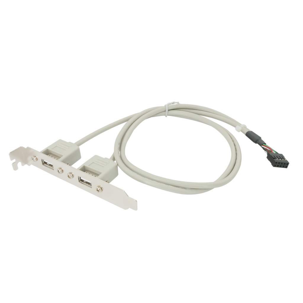 USB-A Dual External Port to Motherboard Port 24in 2x5 Pin Bracket Header Cable