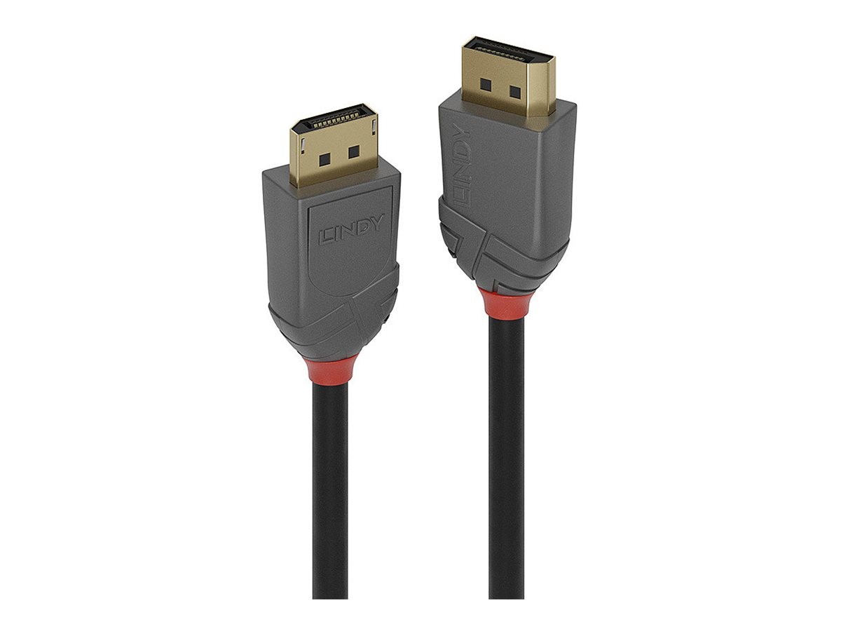 Lindy DisplayPort Cable Anthra Line Digital/Display/Video Cable 1m 36481