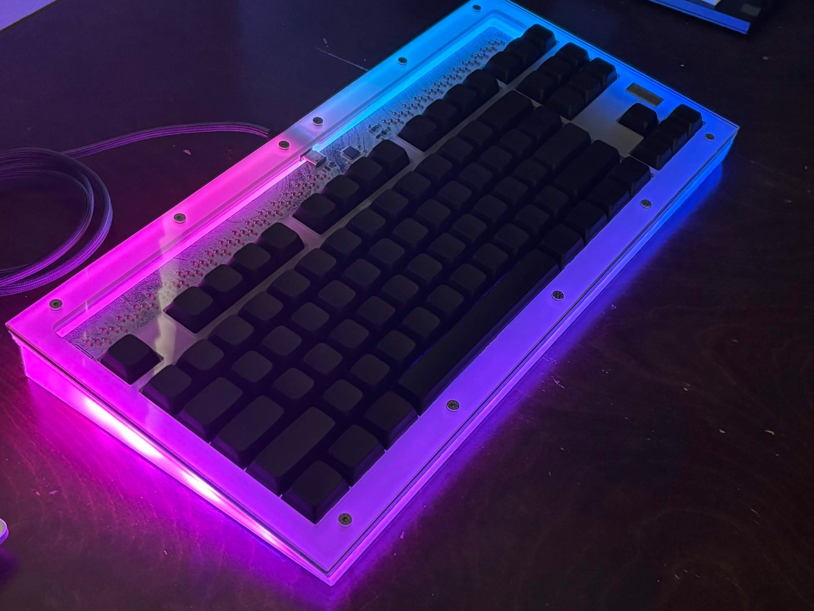 Custom Mechanical Keyboard PROTOZOA STRATA TKL Hotswap/RGB/GEON Black/DSA Blanks