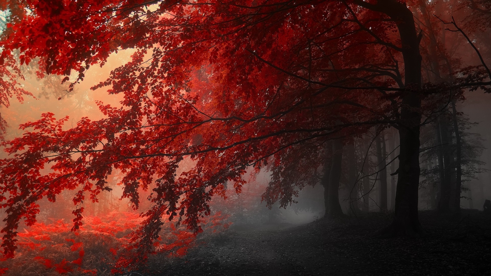 Landscape fall mist red nature trees plants Custom Gaming Mat Desk
