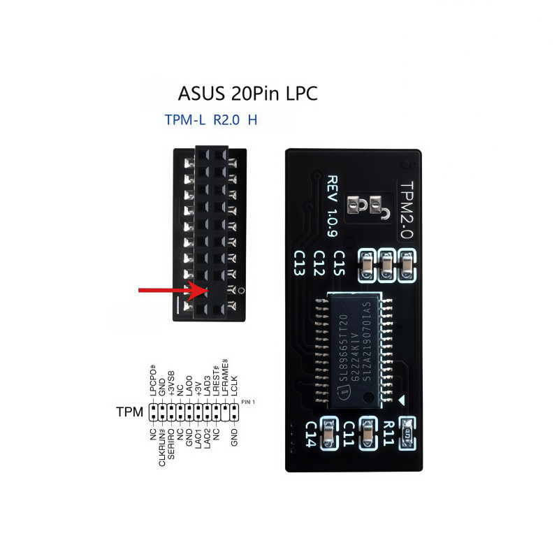 NEW ASUS TPM-L R2.0 H TPM Module (20 Pin 20-1) TPM 2.0 Trusted Platform