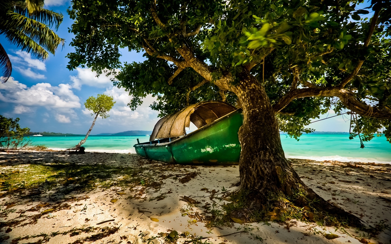 Landscape nature beach island tropical india boat trees Custom Gaming Mat Desk