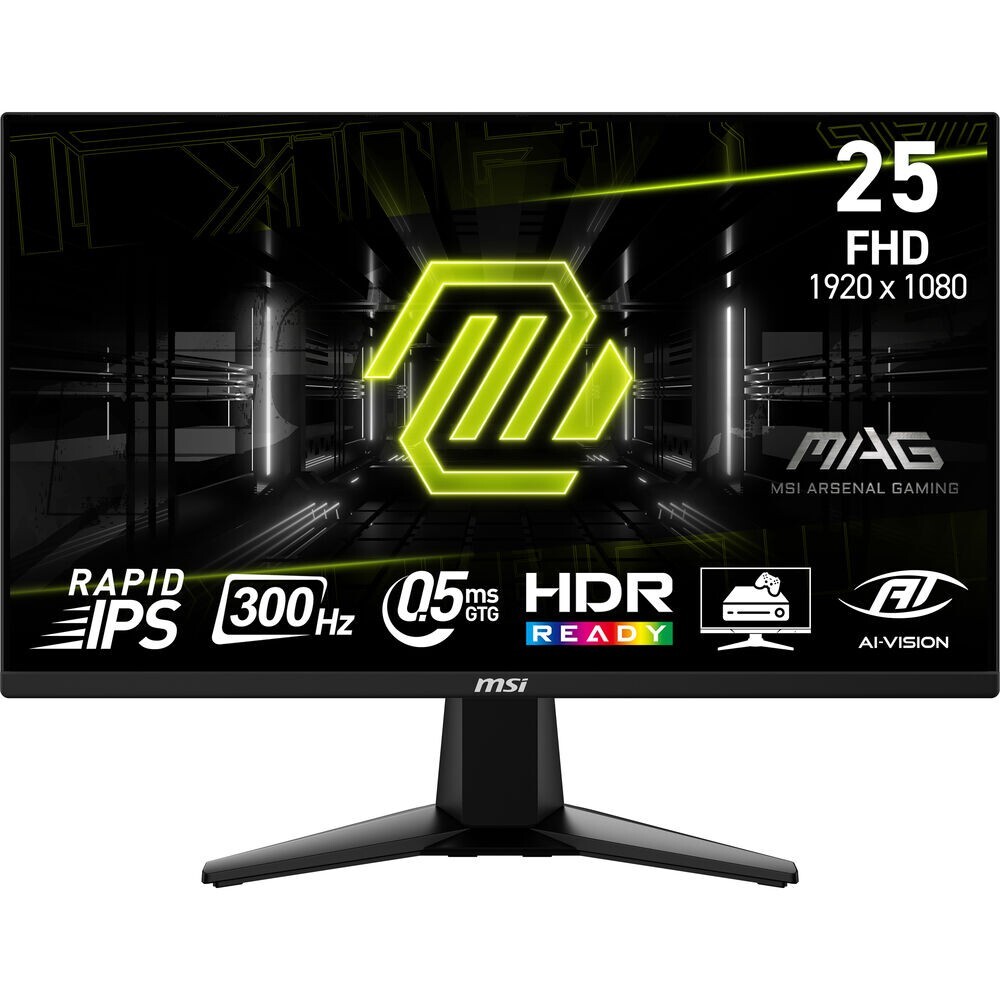 MSI - MAG 255XF - 25" Class Full HD 300 Hz Gaming LCD Monitor  - Metallic Black