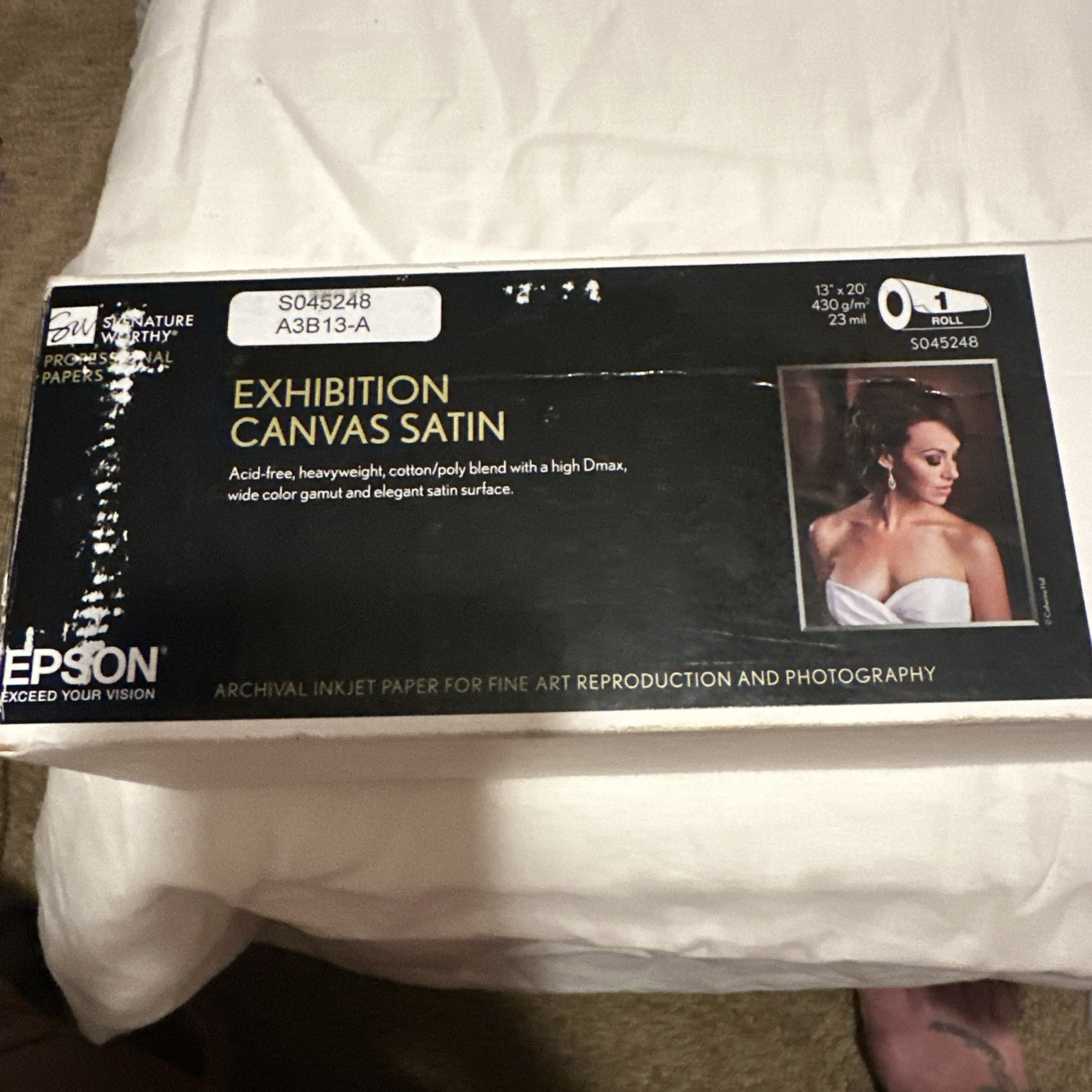 Epson Exhibition Canvas Satin S045248 13" x 20' Roll