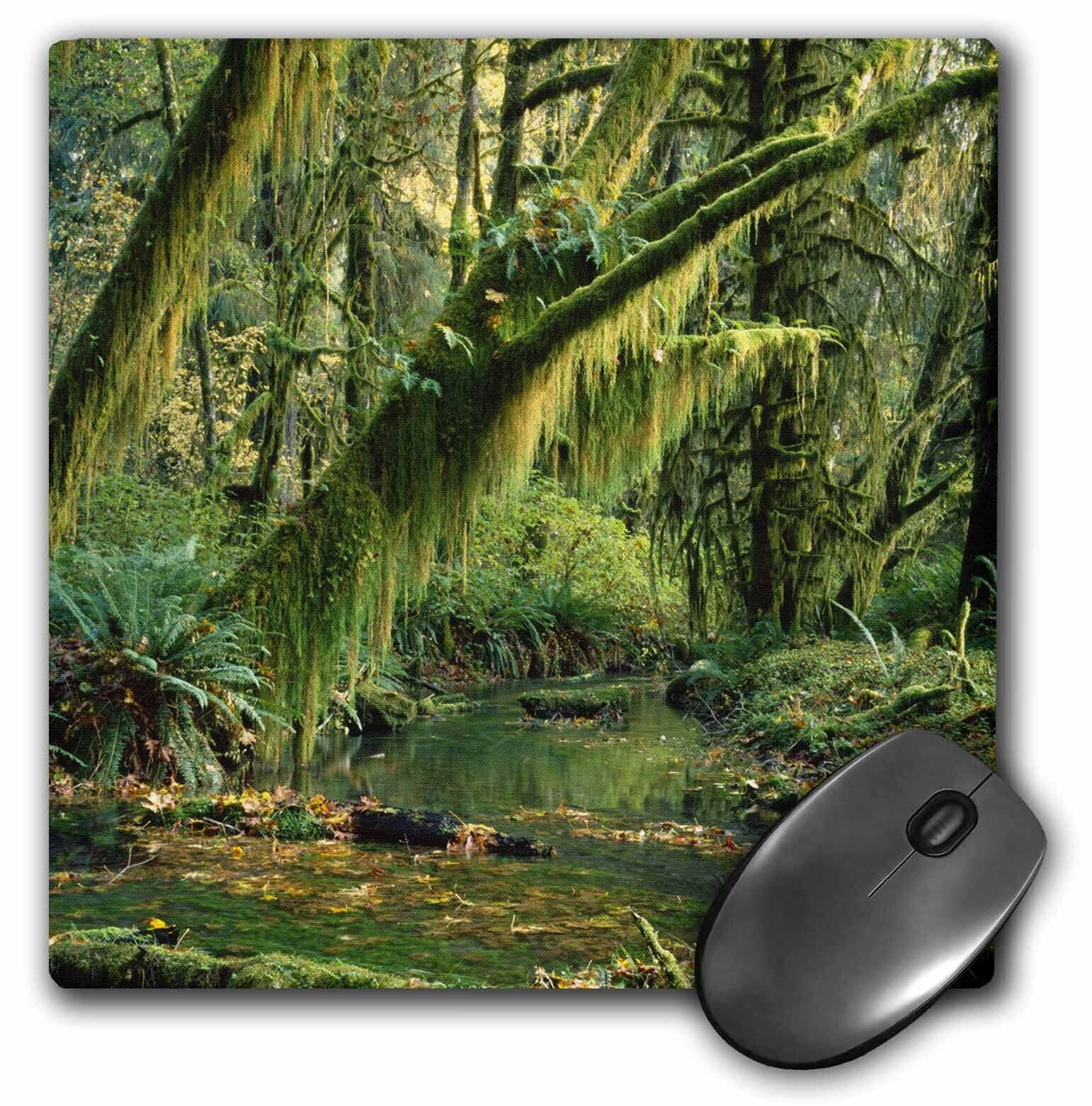 3dRose Hoh Rainforest, Olympic National Park, Washington - US48 GPR0079 - Greg P