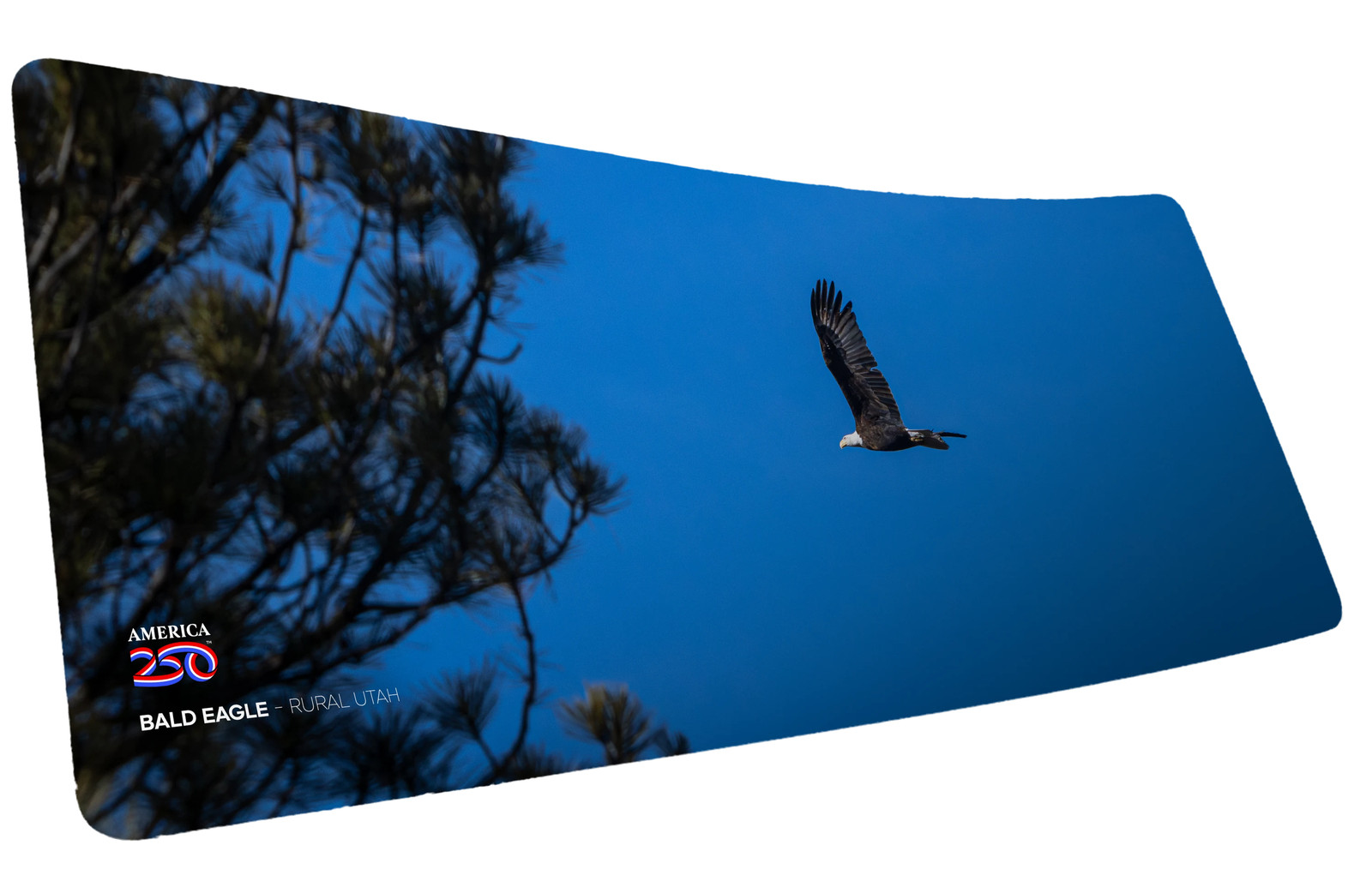 "Bald Eagle in Flight America 250 Animal Collection" — Animals Deskmat
