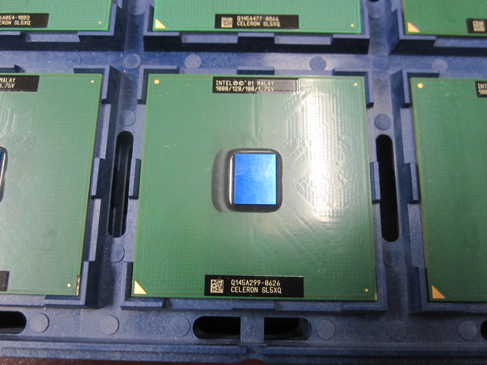 Vintage Intel Celeron 1000/128/100/1.75V Socket 370 CPU SL5XQ SL5XT