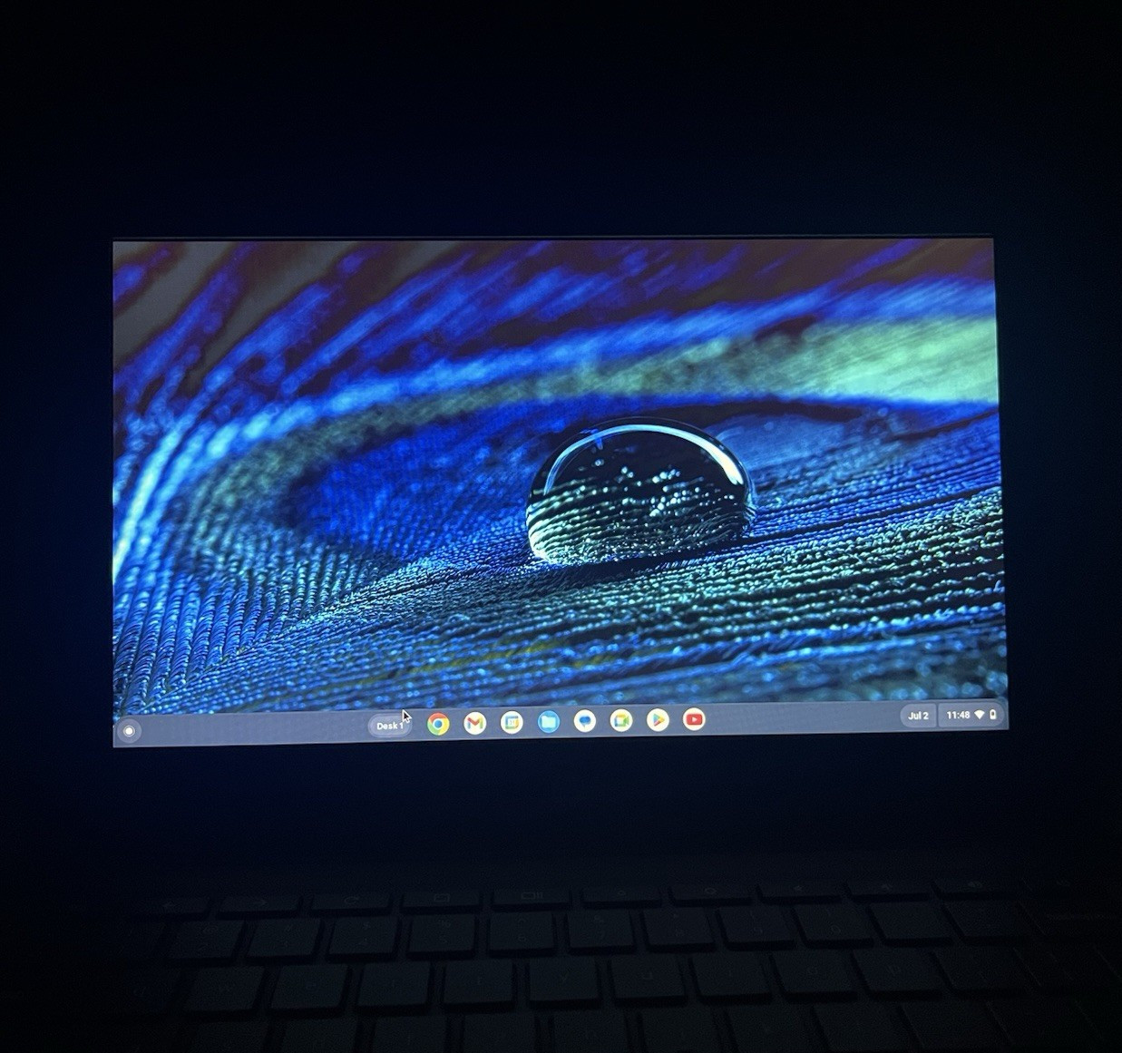 *TESTED, READ DESC.* HP Chromebook 11a-nb0013dx 11.6” Laptop 4GB RAM 32GB eMMC