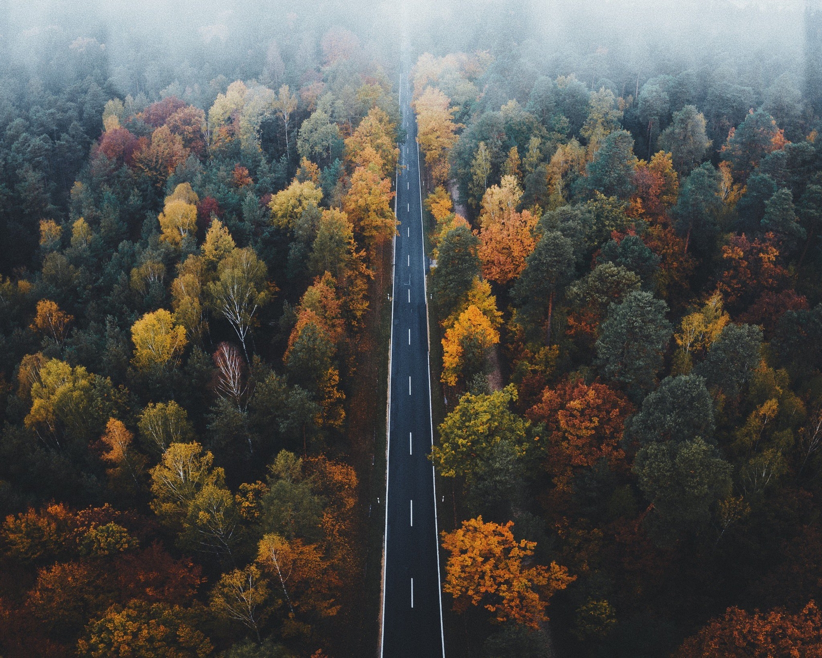 Landscape road trees forest fall Custom Gaming Mat Desk