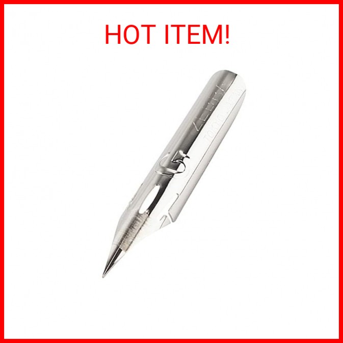 Zebra Comic G Model Chrome Pen Nib, 10 Nibs (1 Pack) (PG-6B-C-K)