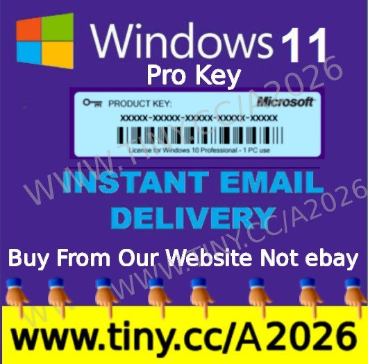 Windows 11 Pro (PC)