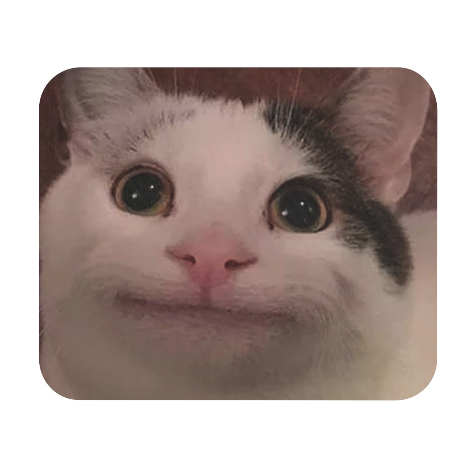 Funny Cat Mouse Pad - Cute Cat Desk Accessory, Meme, Animal Lovers, Office