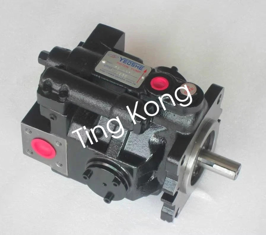 1PCS YEOSHE V23A2 R10X hydraulic oil pump new via FedEx or DHL